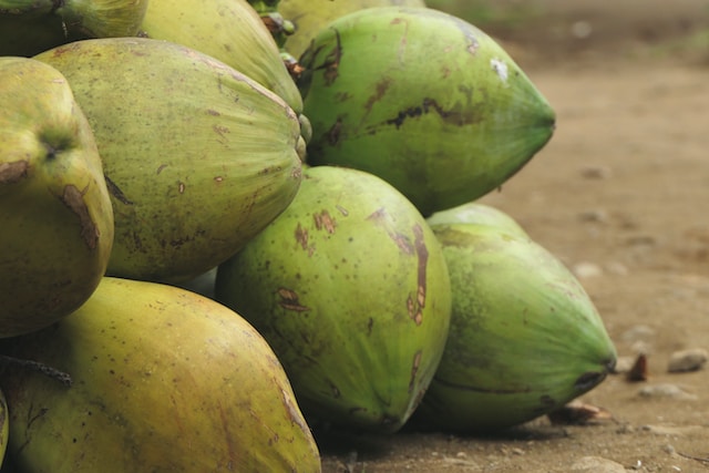 Brown Coconuts vs. Green Coconuts